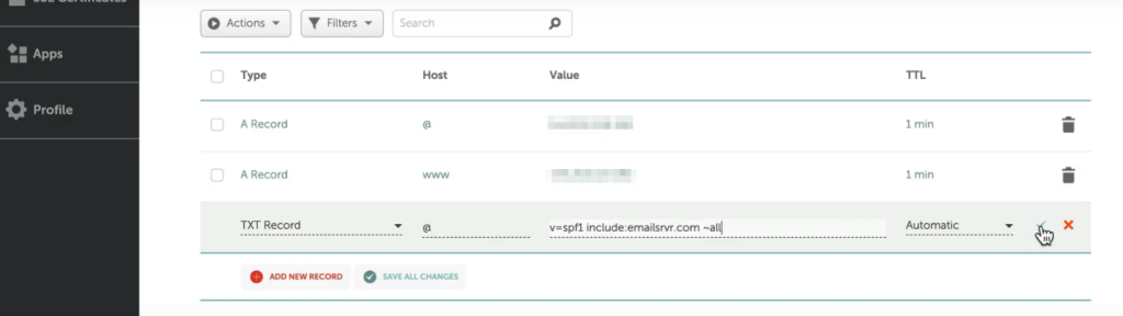 dns manager txt record