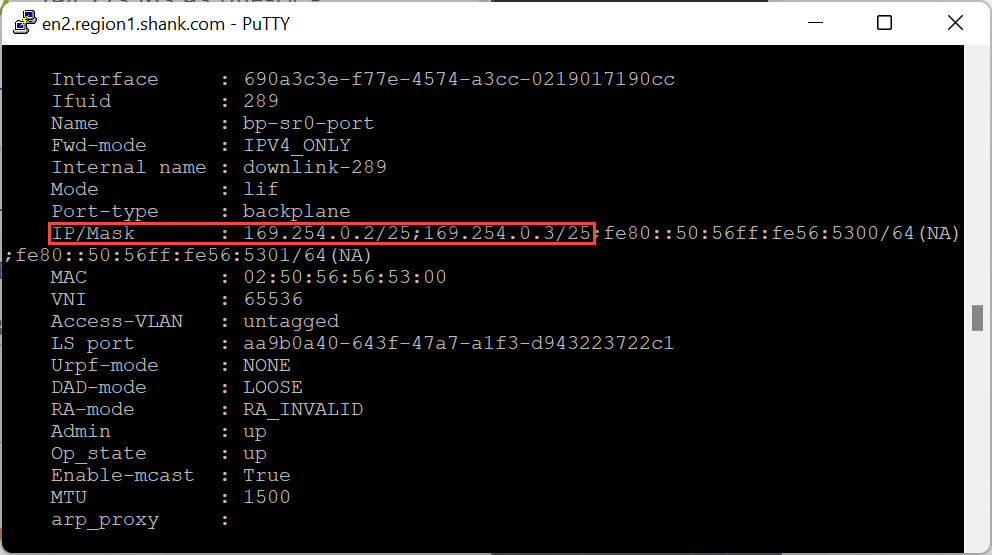 VMware NSX Edge node backplane port