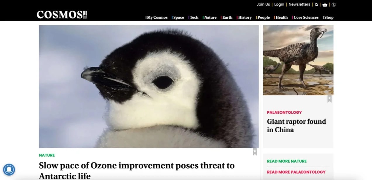 Cosmos article with image of penguin and related articles on the right.