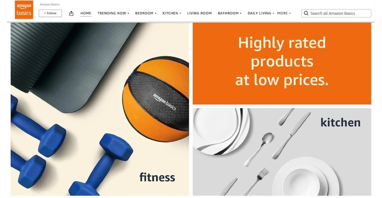 Amazon Basics homepage with imagery of both kitchen and sports products.