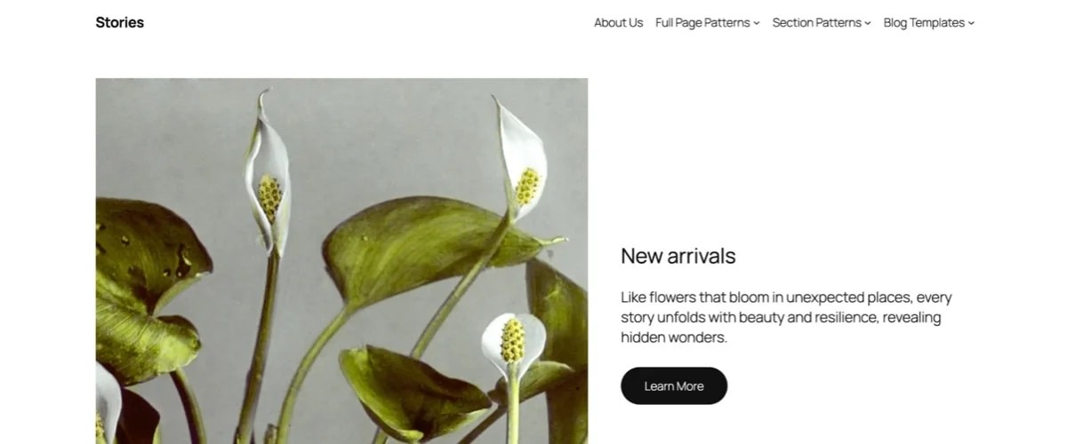 preview of the Twenty Twenty-Five theme