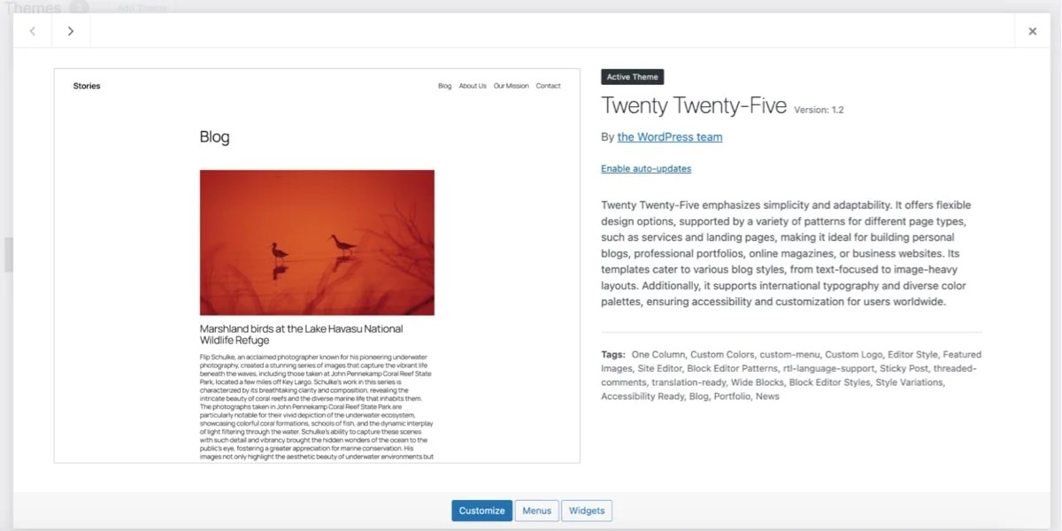 turning on auto-updates for the Twenty Twenty-Five theme