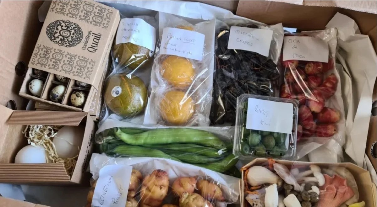 shipping box full of eggs, potatoes, and other produce