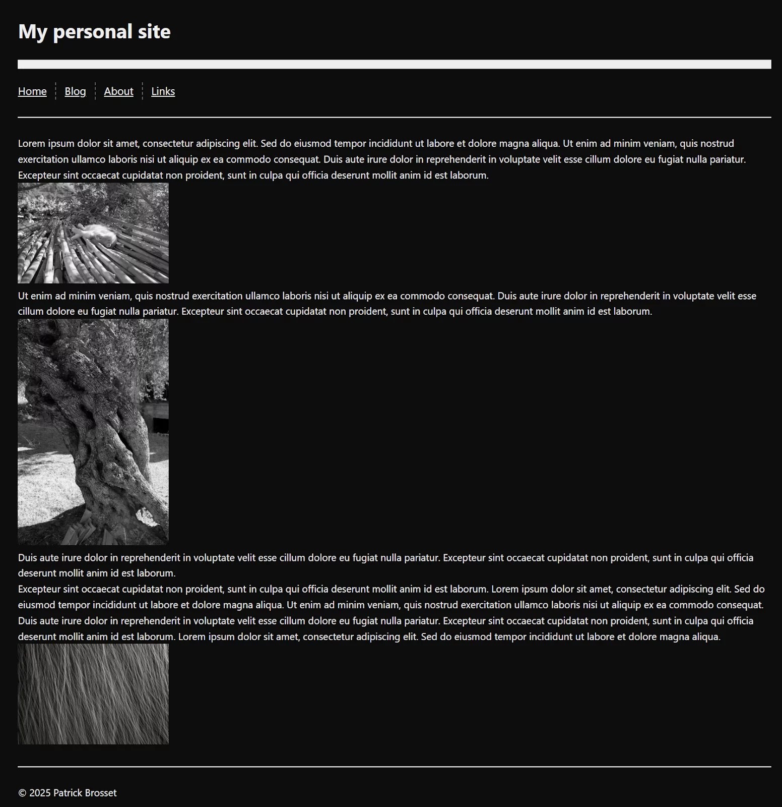 The webpage is still largely the same, but now the navigation is horizontal and there is a light dashed line between the links.
