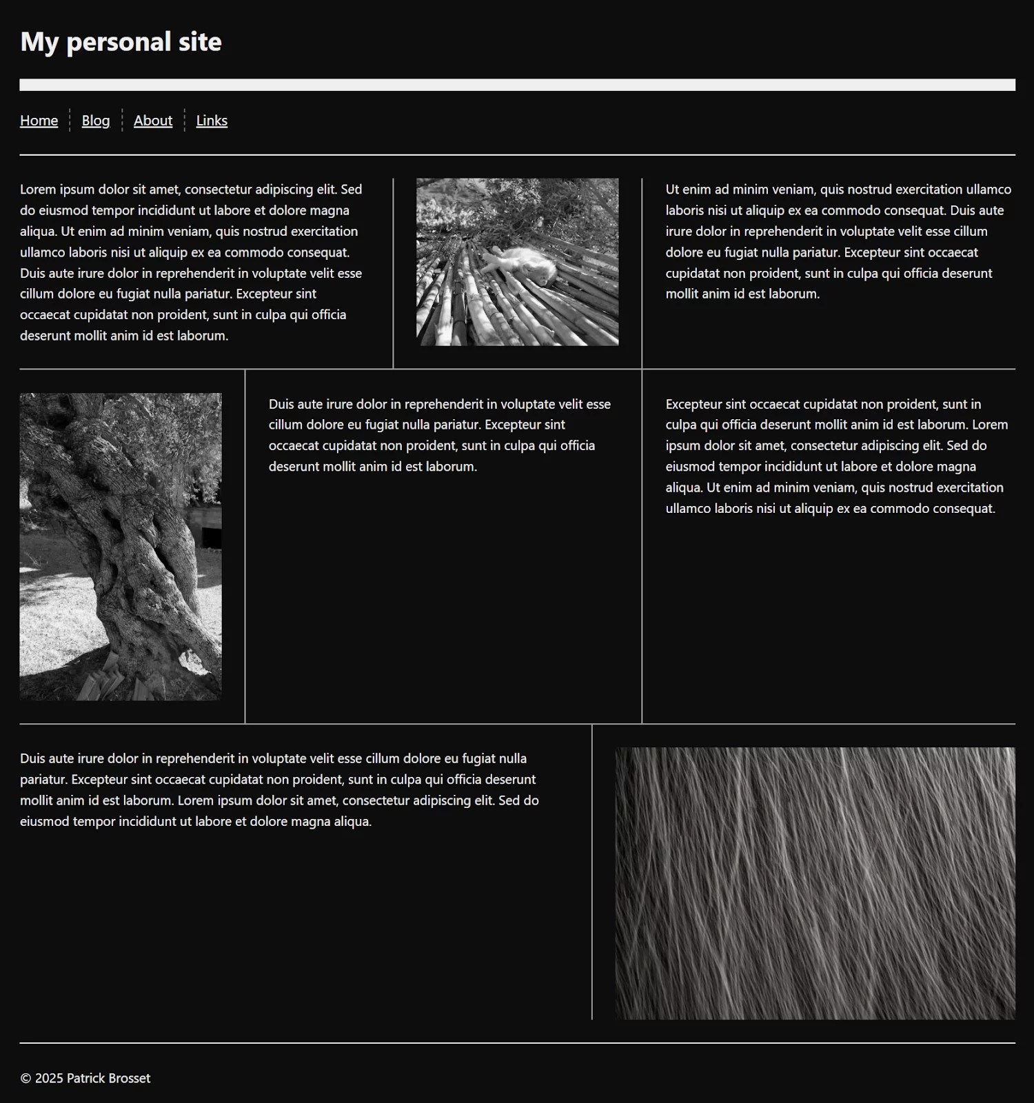 Thin light lines have been added between the layout of text and images, creating a masonry-like layout. The lines extend all the way across each item like enclosed boxes.