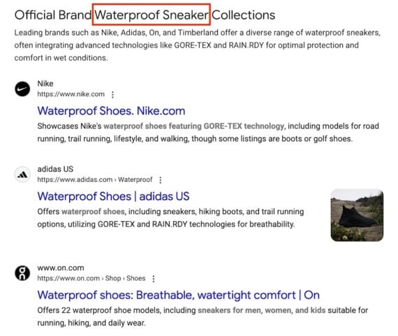 Google search results page for “Waterproof Sneaker,” showing branded results from Nike, Adidas, and On. Each result includes a headline about waterproof shoes and brief descriptions referencing materials like GORE-TEX and RAIN.RDY. A product photo appears next to the Adidas listing.