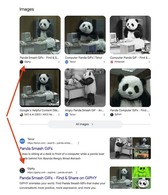 Screenshot of search results for "panda GIFs." 