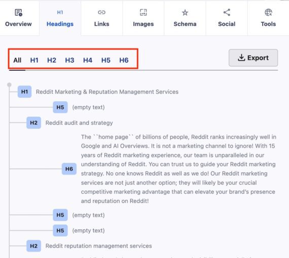 Screenshot of the HTML headings analysis on All in One SEO Analyzer.