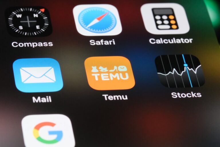 34% of SME’s on Temu have expanded internationally