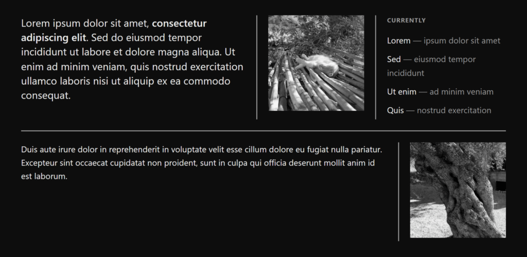 Two post cards with text on the right and image on the left stacked vertically where the bottom post is wider than the top post. White rules separate the columns and rows.